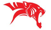 TIGERLOGIC SOLUTIONS LIMITED
