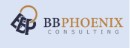 B.B PHOENIX CONSULTING SERVICES LIMITED