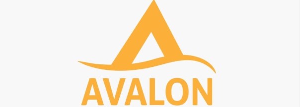 AVALON INTERCONTINENTAL NIGERIA LIMITED IKOYI