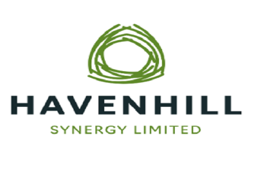 HAVENSHILL SYNERGY LIMITED