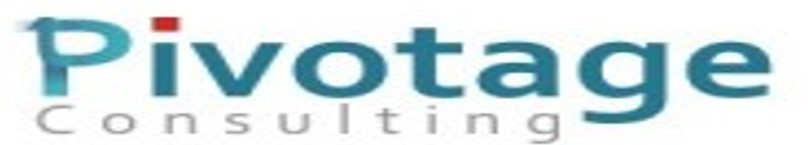 PIVOTAGE CONSULTING LTD