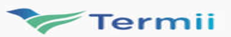 TERMII WEBTECH LIMITED