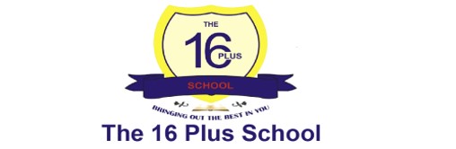 THE 16 PLUS SCHOOL LIMITED