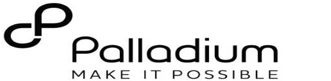 PALLADIUM INTERNATIONAL DEVELOPMENT NIGERIA LIMITED