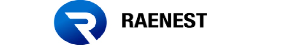 RAENEST TECHNOLOGY SOLUTIONS SERVICE LTD