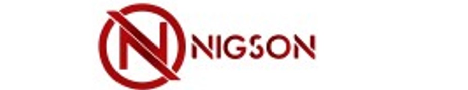 NIGSON IMPORTS & INVESTMENT COMPANY LIMITED