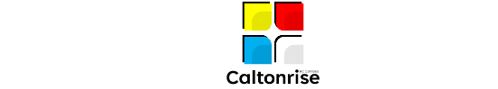 CALTON - RISE STRATEGY ASSOCIATES LIMITE