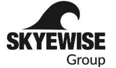 SKYEWISE GLOBAL INVESTMENT SERVICES LTD
