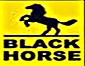 BLACK HORSE PLASTIC INDUSTRY LTD