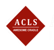 AWESOME CRADLE LOGISTICS SERVICES LIMITED