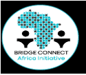 Bridge connect Africa Initiative